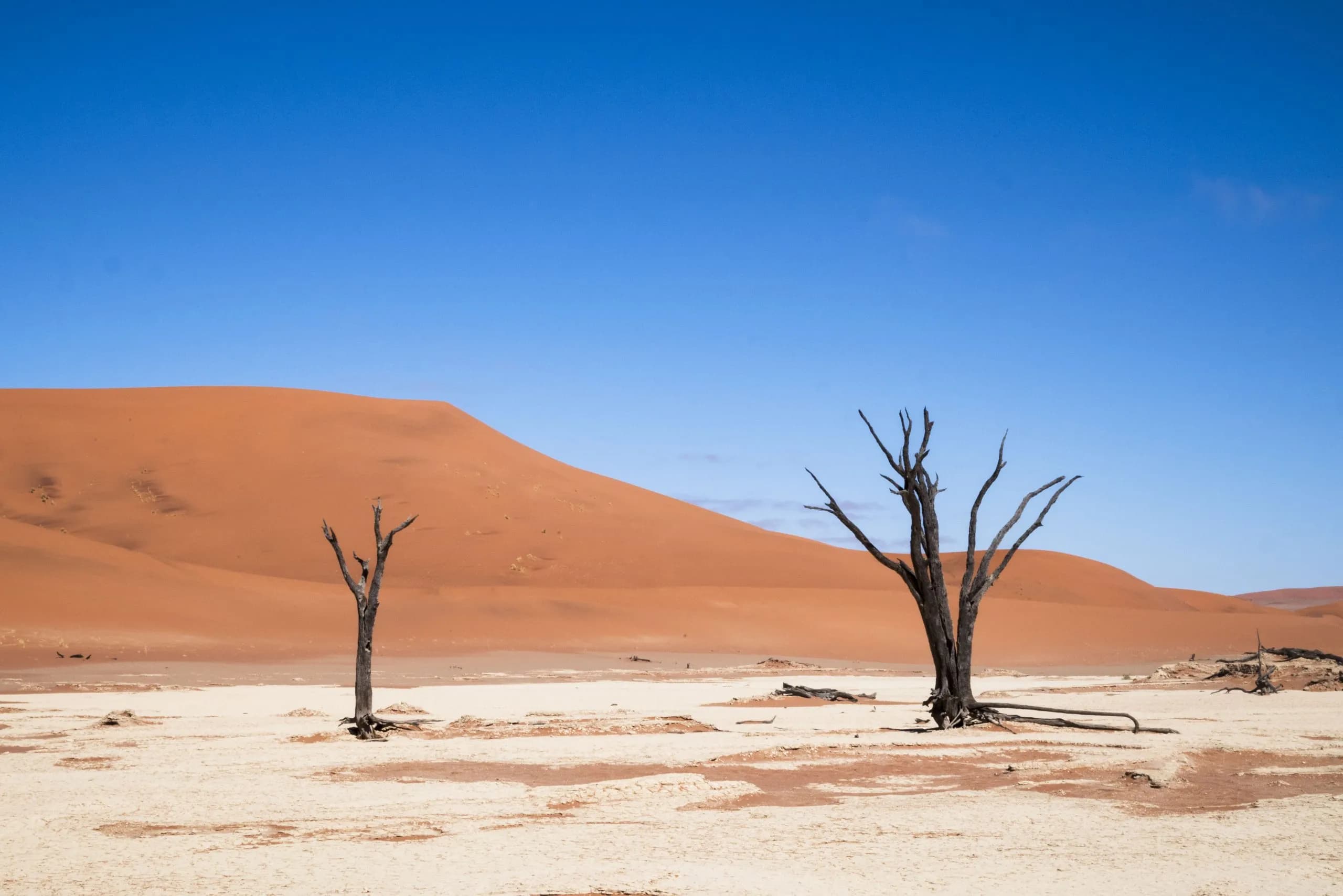 Nulla di nuovo sul fronte democratico